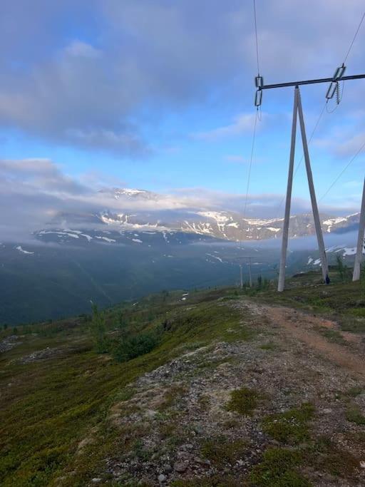 Tromso'S Best Location? City & Nature 5 Mins Away. Zewnętrze zdjęcie