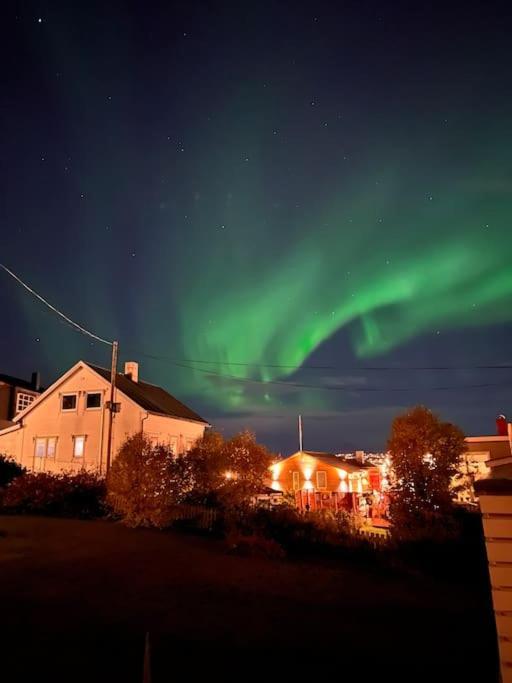 Tromso'S Best Location? City & Nature 5 Mins Away. Zewnętrze zdjęcie